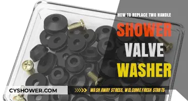 Easy DIY Guide: Replacing a Two-Handle Shower Valve Washer