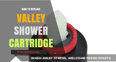 Easy DIY Guide: Replacing Your Valley Shower Cartridge Step-by-Step