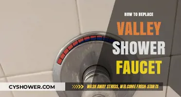Step-by-Step Guide to Replacing Your Valley Shower Faucet Easily