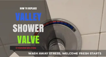 Step-by-Step Guide to Replacing Your Valley Shower Valve Easily