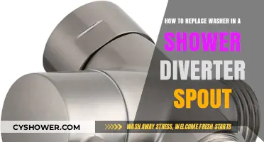 Easy DIY Guide: Replacing a Shower Diverter Spout Washer