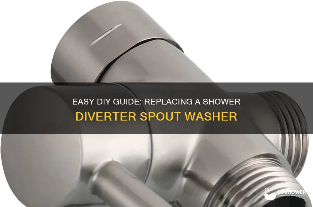 how to replace washer in a shower diverter spout