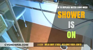 Quick Fix: Replacing a Water-Damaged Cork in a Running Shower