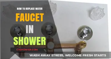 Easy DIY Guide: Replacing Your Shower Water Faucet Step-by-Step