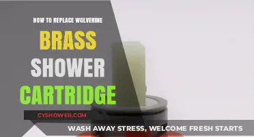 Step-by-Step Guide to Replacing Your Wolverine Brass Shower Cartridge