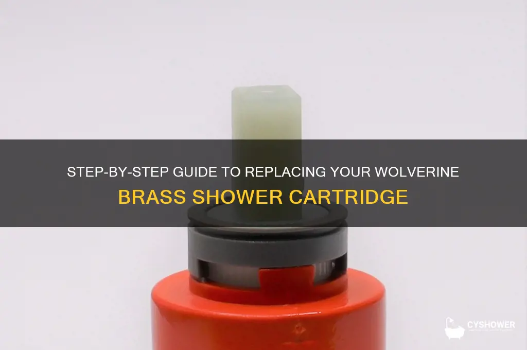 how to replace wolverine brass shower cartridge