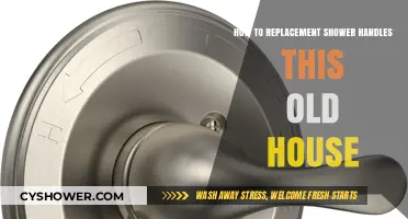 DIY Guide: Replacing Shower Handles in Your Old House Easily
