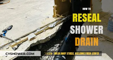 Quick Guide: Resealing Your Shower Drain Like a Pro