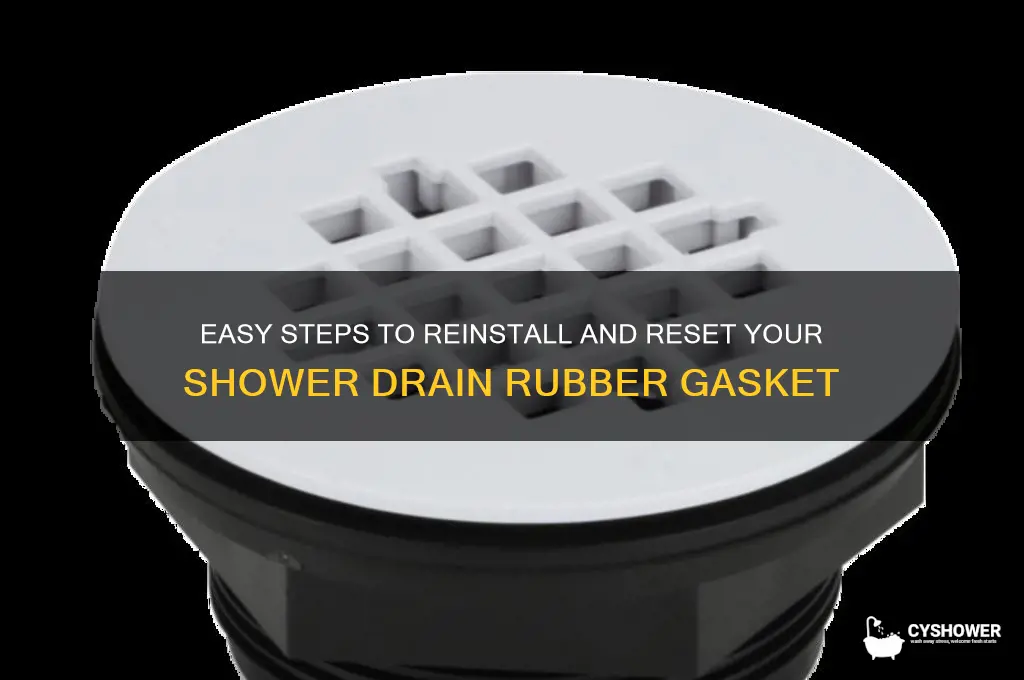 how to reset rubber gasket on shower drain