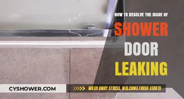 Stop Shower Door Leaks: Quick Fixes and Prevention Tips