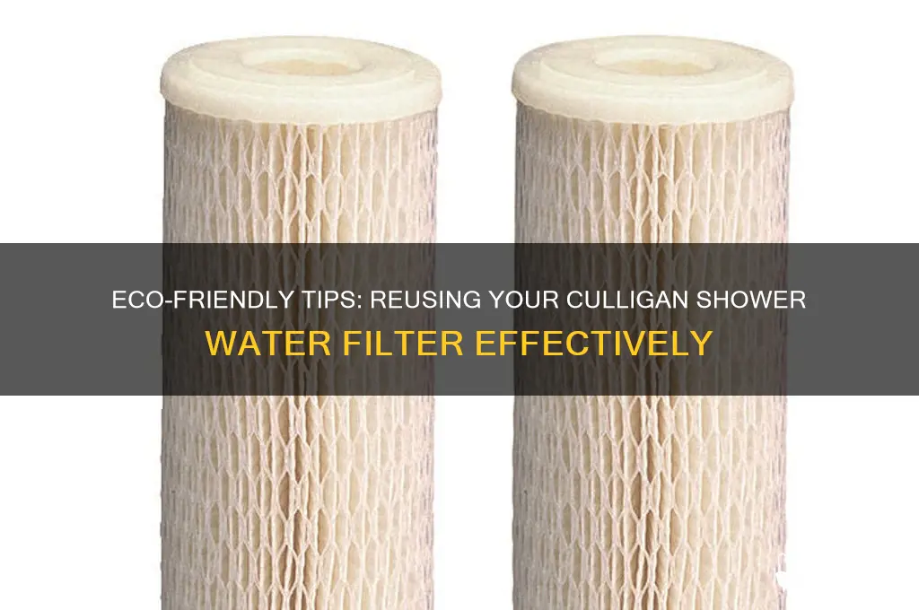 how to reuse culligan shower water filter