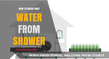 Eco-Friendly Tips: Reusing Grey Water from Your Shower