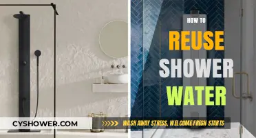 Eco-Friendly Tips: Reusing Shower Water for a Sustainable Home