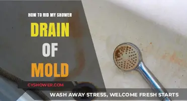 Effective Ways to Eliminate Mold from Your Shower Drain