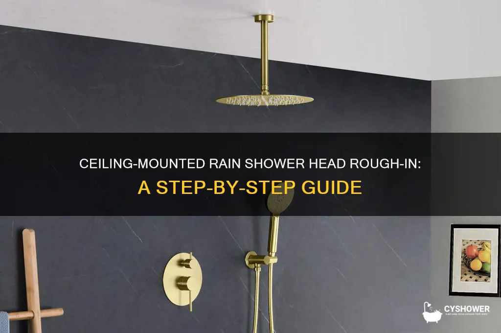 how to rough inrain shower heads from ceiling