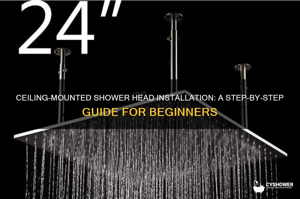 how to run shower head in ceiling
