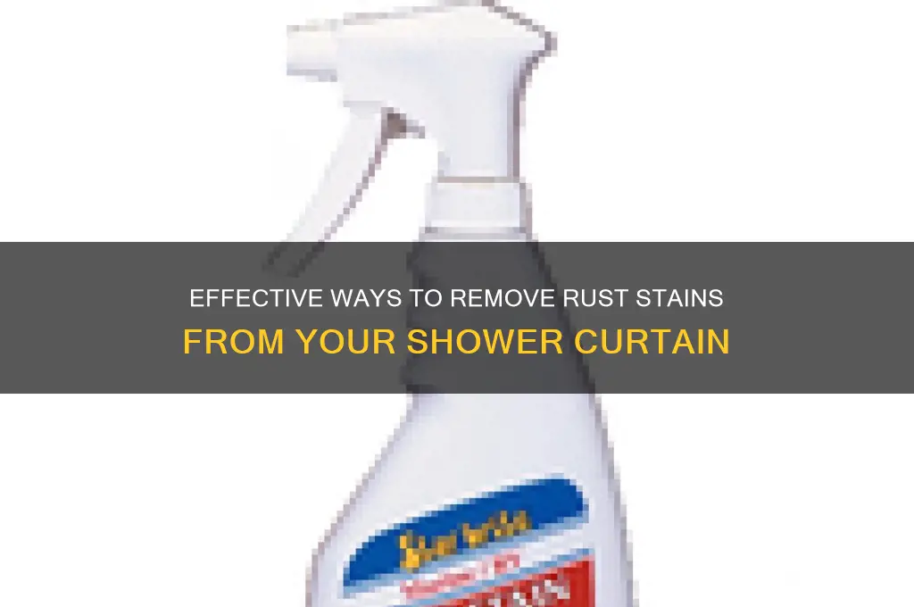 how to rwmove rust stain from shower curtain