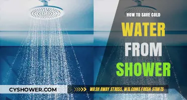Eco-Friendly Tips: Save Cold Shower Water Effortlessly at Home