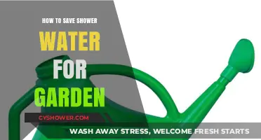 Eco-Friendly Gardening: Smart Ways to Reuse Shower Water for Plants