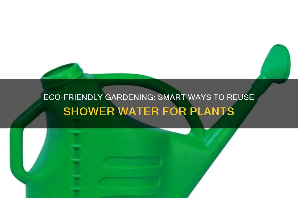 how to save shower water for garden