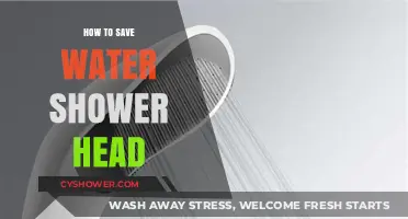 Efficient Water-Saving Tips: Upgrade Your Shower Head for Eco-Friendly Showers