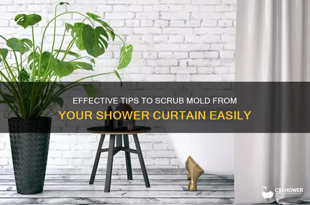how to scrub mold from shower curtain
