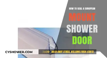Sealing a European Mount Shower Door: A Step-by-Step Guide