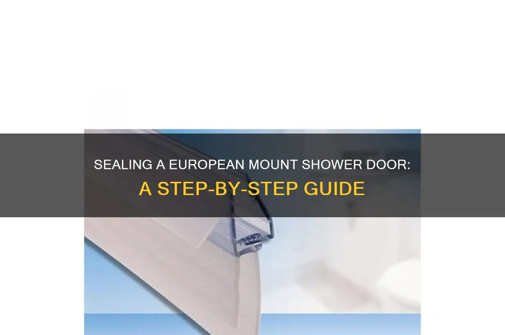 how to seal a european mount shower door