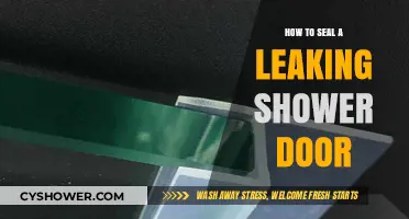 Quick Fixes: Sealing a Leaking Shower Door Step-by-Step Guide
