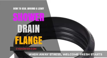 Fixing a Leaky Shower Drain Flange: Easy Sealing Tips and Tricks