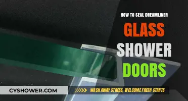 Sealing Dreamliner Glass Shower Doors: A Step-by-Step DIY Guide