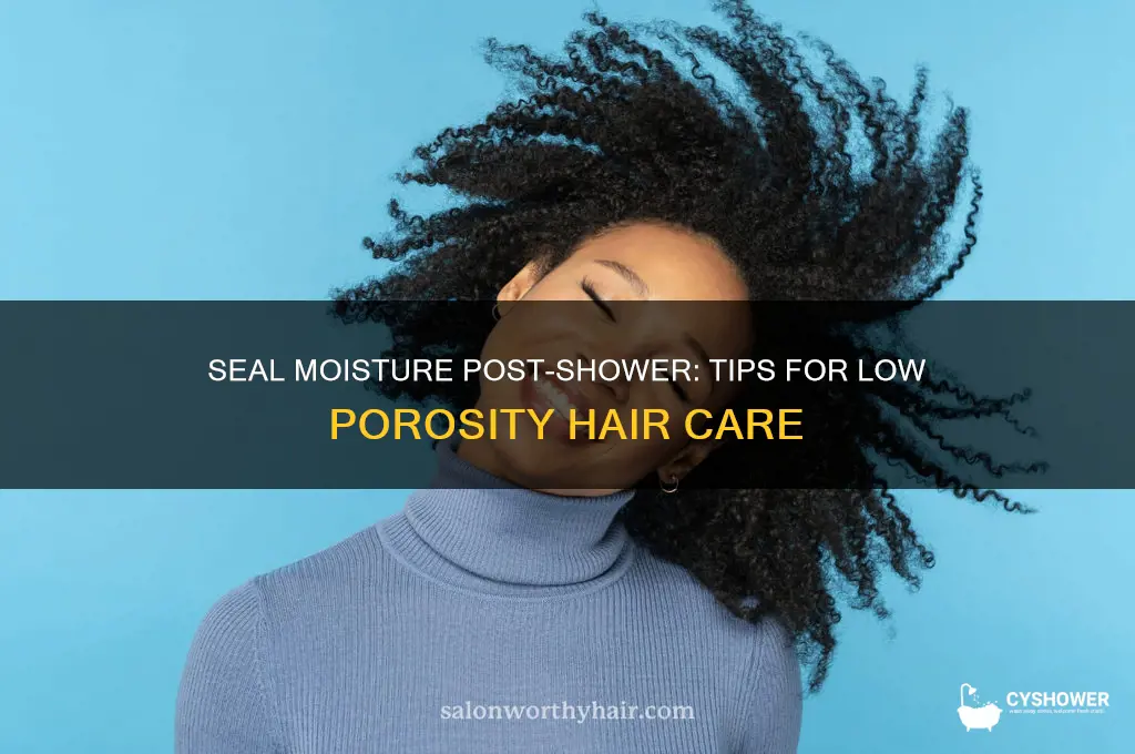 how to seal mositure afte shower with low purous hair
