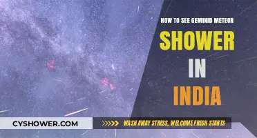 Geminid Meteor Shower Viewing Tips for India's Night Sky Enthusiasts