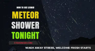 Catch the Leonid Meteor Shower Tonight: Tips for Stunning Views