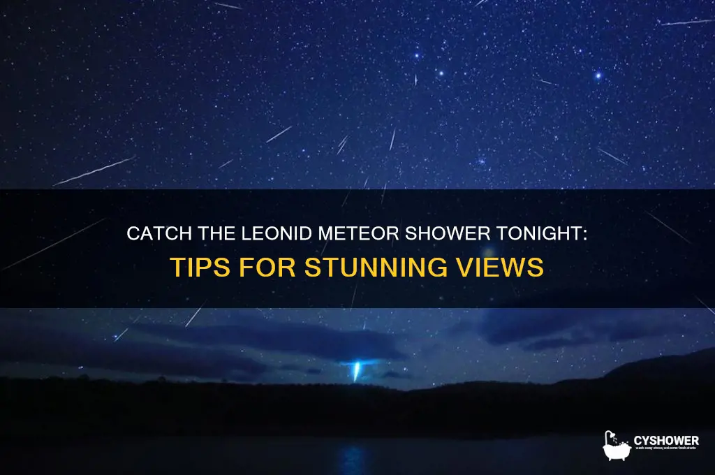 how to see leonid meteor shower tonight