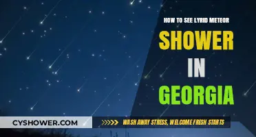Lyrid Meteor Shower Viewing Guide for Georgia Skywatchers