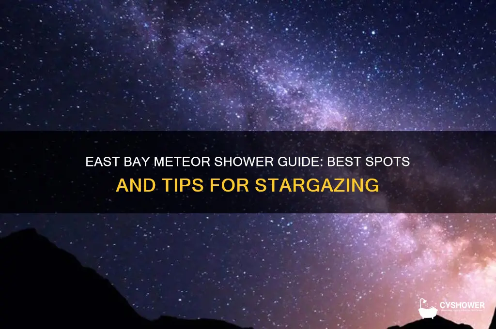 how to see meteor shower from east bay