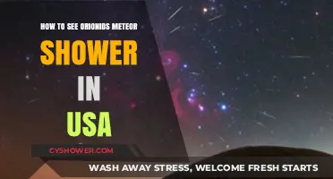 Best Viewing Tips for the Orionids Meteor Shower in the USA