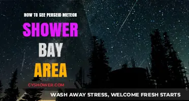 Bay Area Guide: Best Spots to Watch Perseid Meteor Shower