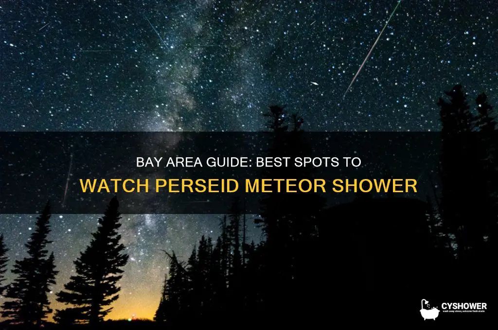 how to see perseid meteor shower bay area