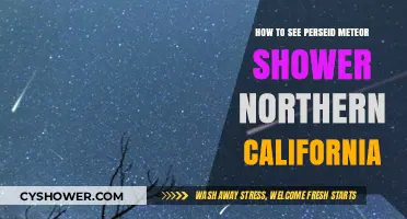 Northern California's Perseid Meteor Shower: Best Viewing Tips and Spots