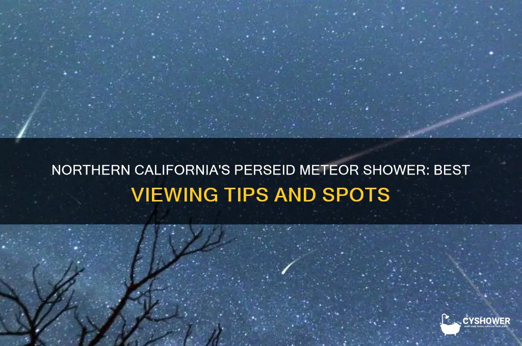 how to see perseid meteor shower northern california