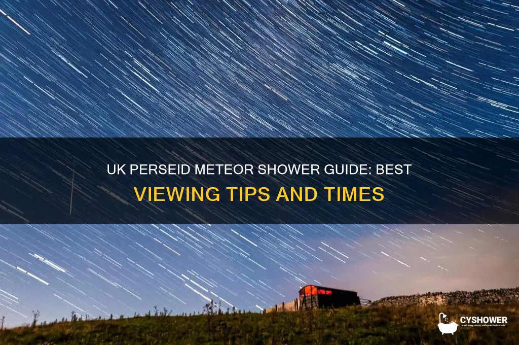 how to see perseid meteor shower uk