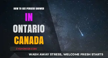 Best Spots and Tips to Watch Perseid Meteor Shower in Ontario