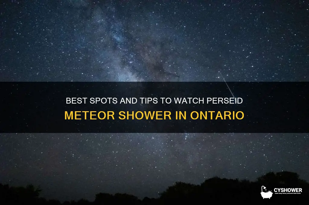 how to see perseid shower in ontario canada