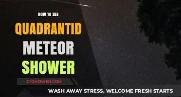 Catch the Quadrantid Meteor Shower: Tips for a Spectacular Night Sky