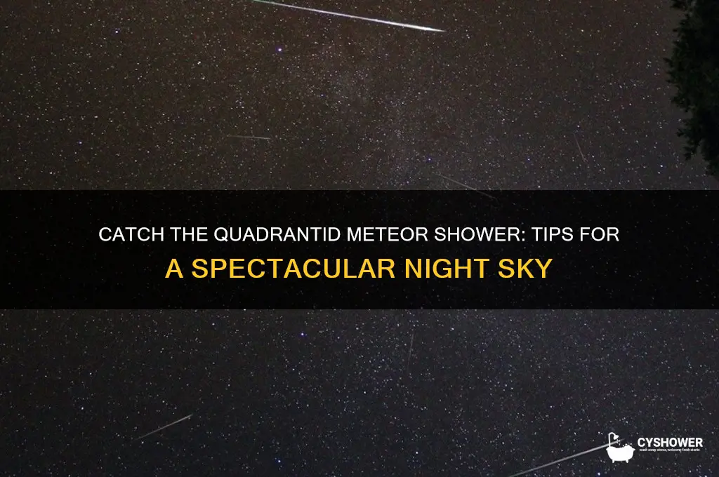 how to see quadrantid meteor shower