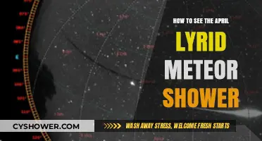 Catch the April Lyrids: A Guide to Viewing the Meteor Shower