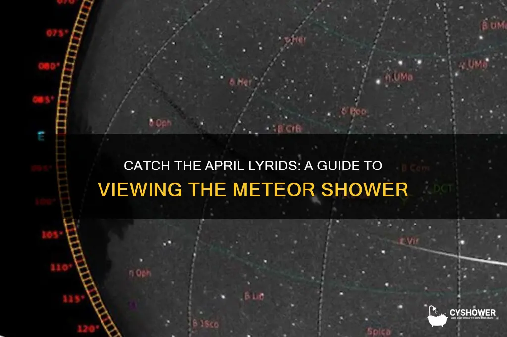 how to see the april lyrid meteor shower