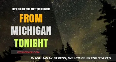 Michigan's Meteor Shower Guide: Best Viewing Tips Tonight